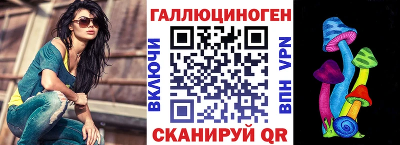 Псилоцибиновые грибы Psilocybine cubensis Катайск